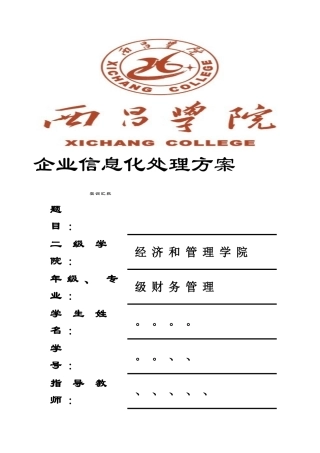 企业信息化解决专项方案实训总结报告用于合并