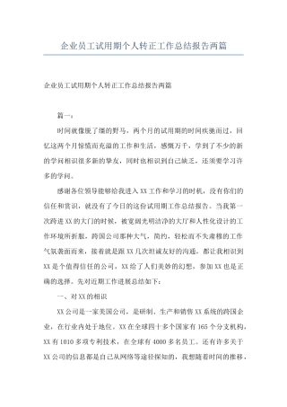企业员工试用期个人转正工作总结报告两篇