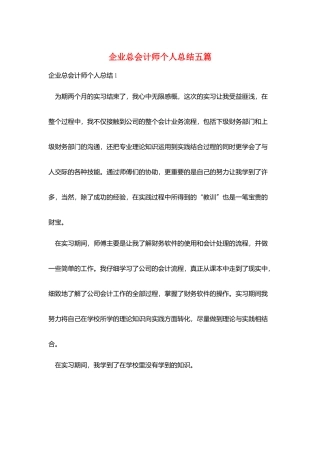 企业总会计师个人总结五篇