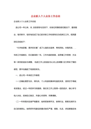 企业新人个人业务工作总结