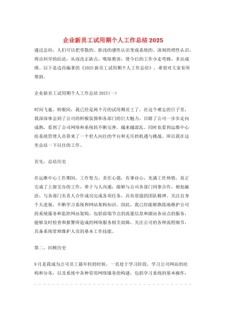 企业新员工试用期个人工作总结2025