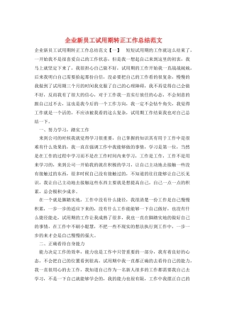 企业新员工试用期转正工作总结范文