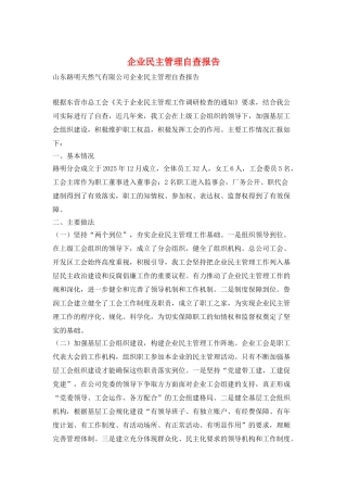 企业民主管理自查报告
