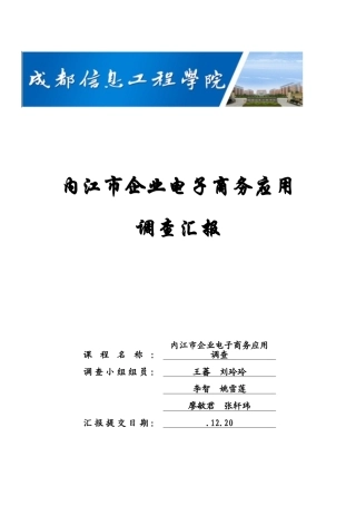 企业电子商务应用调查研究报告
