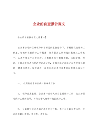 企业的自查报告范文