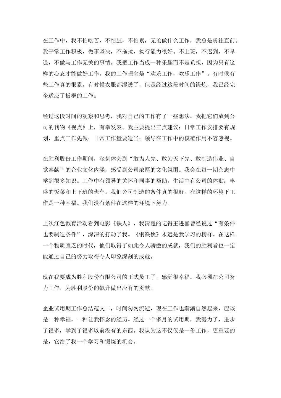 企业试用期工作总结报告_第2页