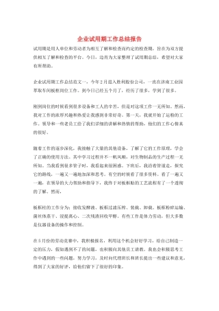 企业试用期工作总结报告