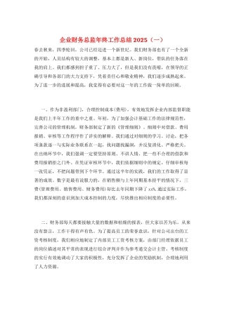 企业财务总监年终工作总结2025(一)