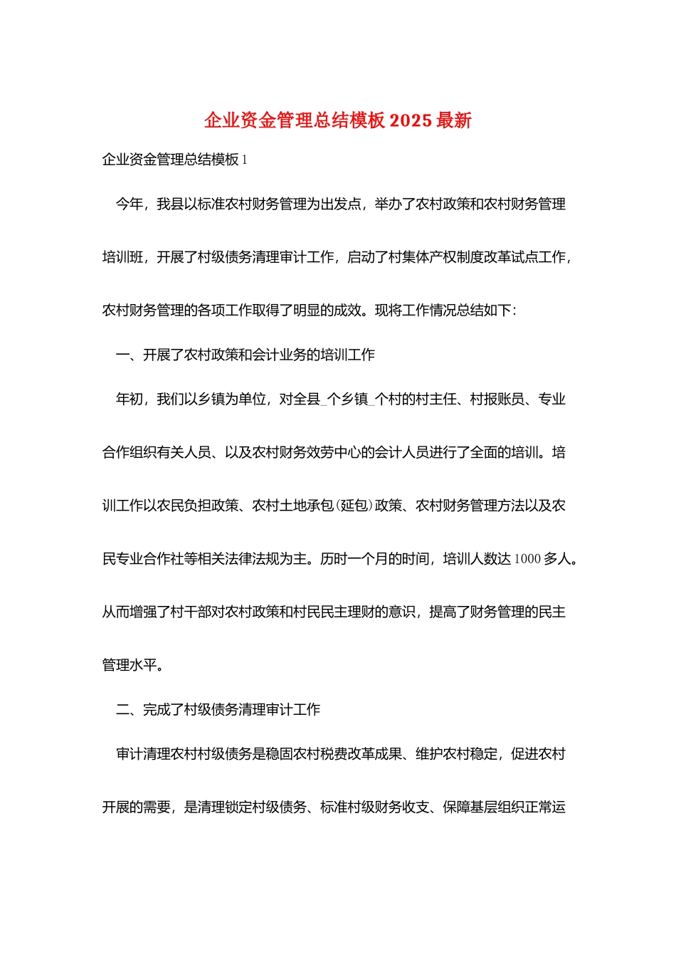 企业资金管理总结模板2025最新_第1页