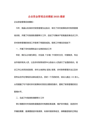企业资金管理总结模板2025最新
