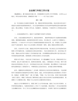 企业部门年初工作计划精选
