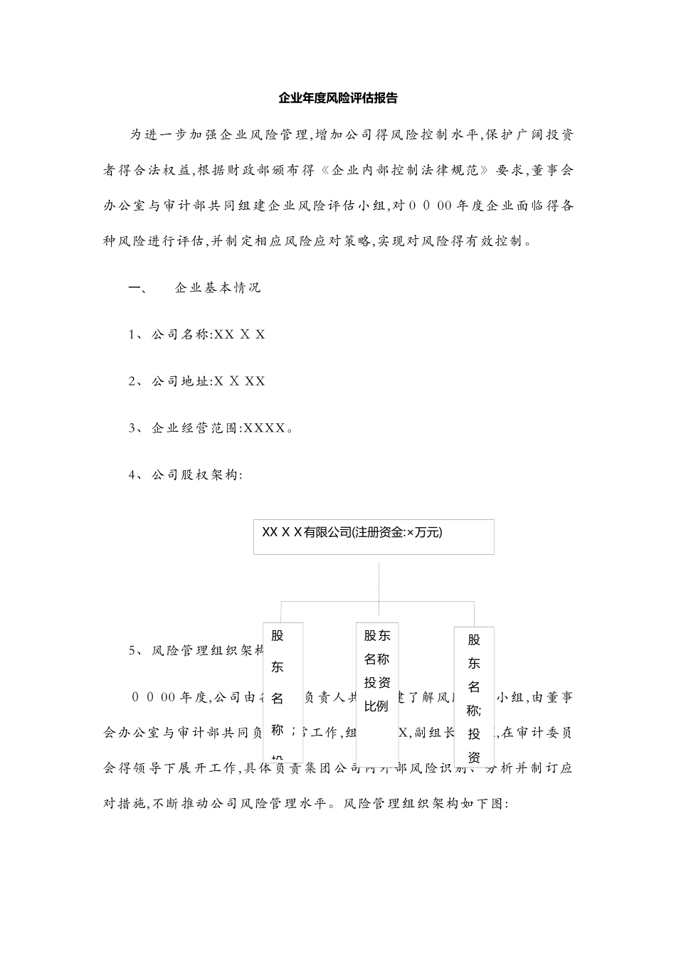 企业风险评估报告书_第1页