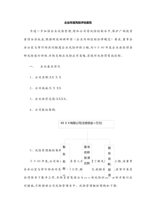 企业风险评估报告书