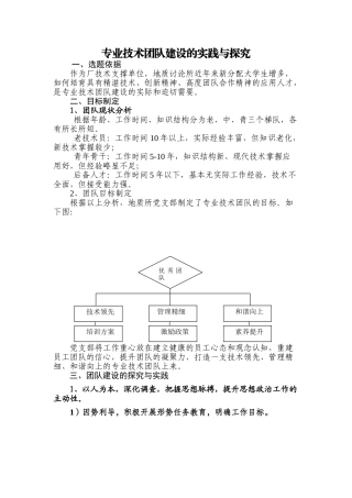优秀专业技术团队建设的实践与探索