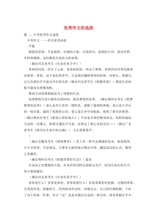 优秀作文的选段