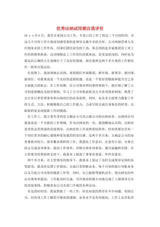 优秀出纳试用期自我评价