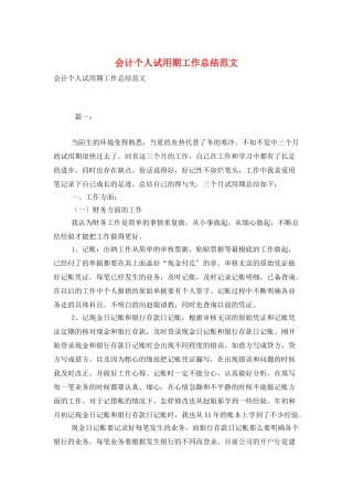 会计个人试用期工作总结范文