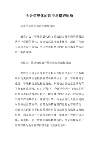 会计信息化的途径与措施透析