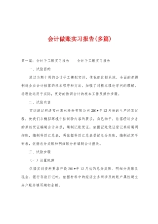 会计做账实习报告