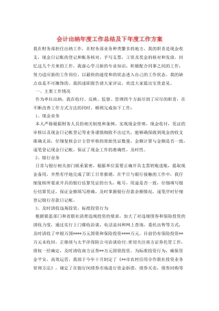 会计出纳年度工作总结及下年度工作计划