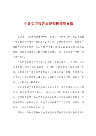 会计实习报告周记模板6篇