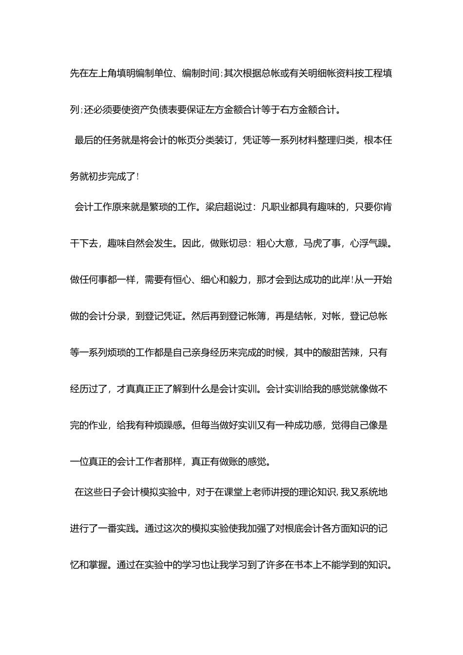 会计实训心得体会格式_第3页