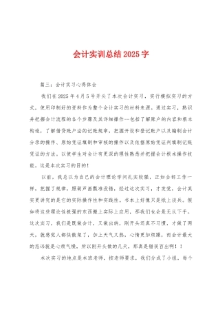 会计实训总结2025年字