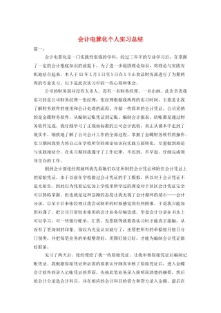 会计电算化个人实习总结