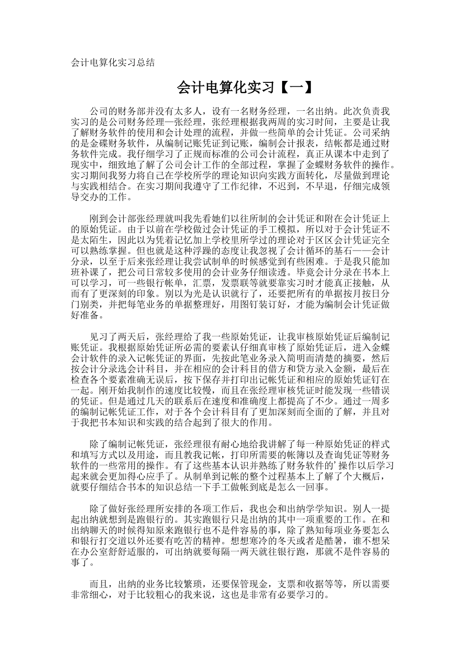 会计电算化实习总结_第1页