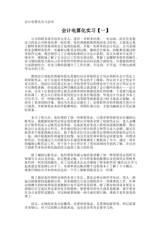 会计电算化实习总结