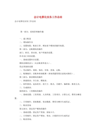 会计电算化实务工作总结