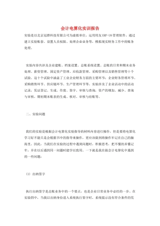 会计电算化实训报告