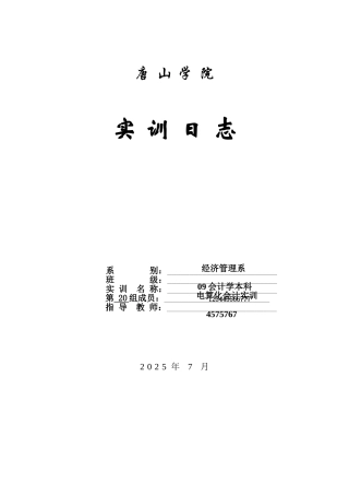 会计电算化实训日志