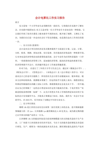 会计电算化工作实习报告