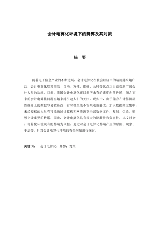 会计电算化环境下的舞弊及其对策