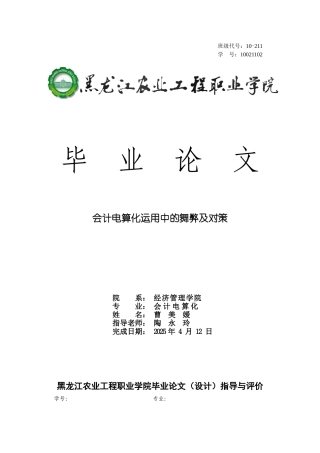 会计电算化的舞弊与对策