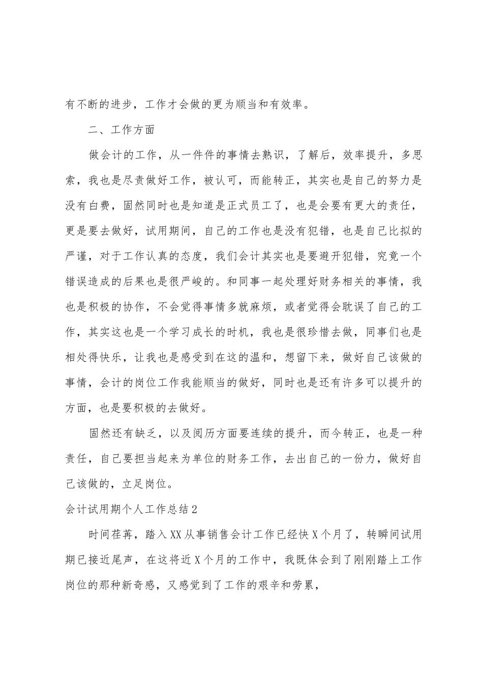 会计试用期个人工作总结_第2页