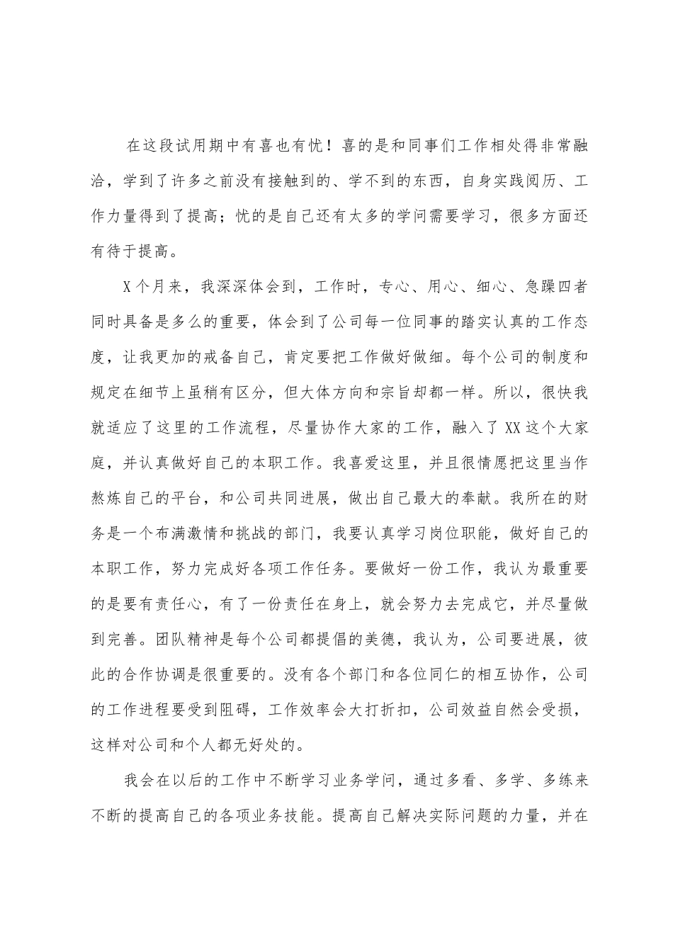 会计试用期个人工作总结_第3页