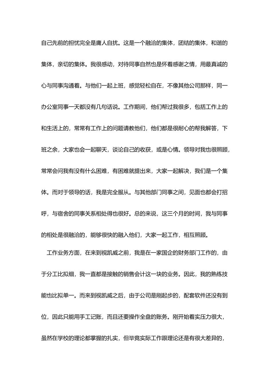 会计试用期转正个人工作总结范文_第2页