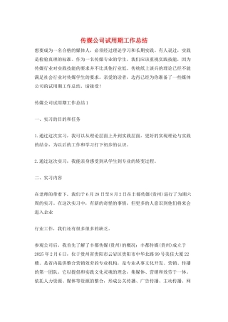 传媒公司试用期工作总结