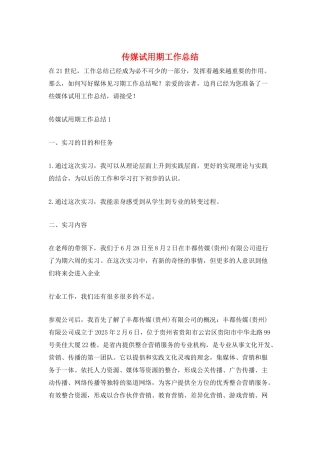 传媒试用期工作总结