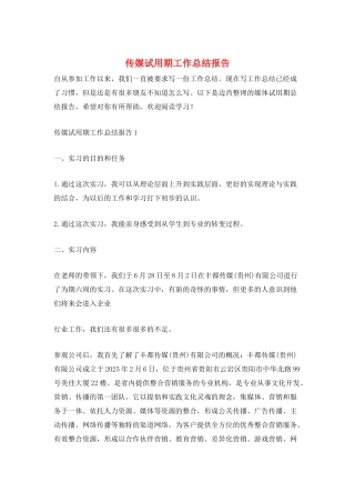 传媒试用期工作总结报告