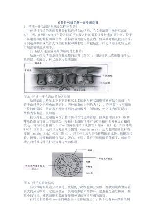 传导性气道的第一道生理防线