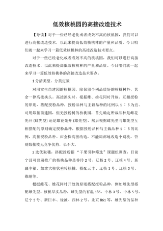 低效核桃园的高接改造技术