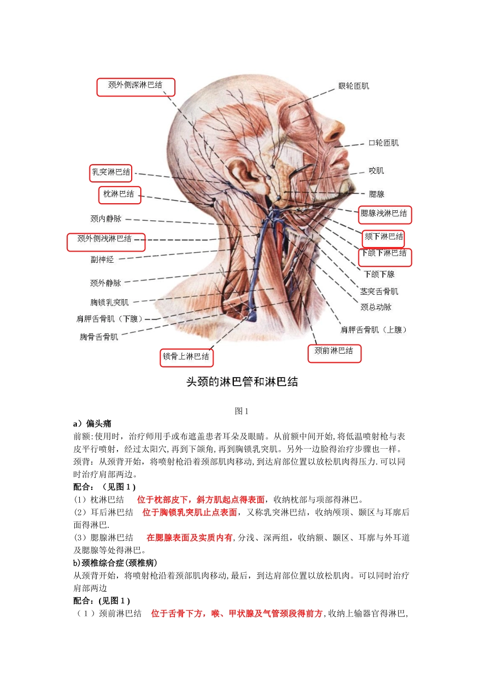 低温冲击镇痛仪治疗方案_第2页