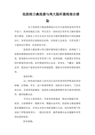 低致病力禽流感与鸡大肠杆菌病混合感染