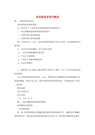 体系核查承诺书精选