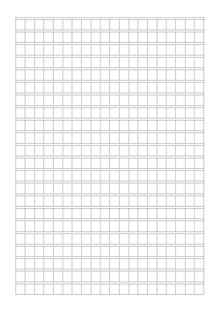 作文格子----两种大小