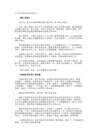 作文的读后感400字