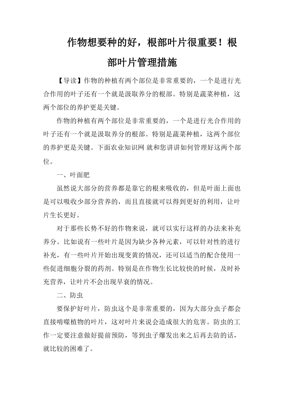 作物想要种的好-根部叶片很重要!根部叶片管理措施_第1页